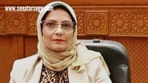 نجلاء العسيلي: مصر لن تسمح بالمزايدة على دورها في دعم غزة.. وتنظيم دخول القوافل ضرورة لحماية الأمن القومي